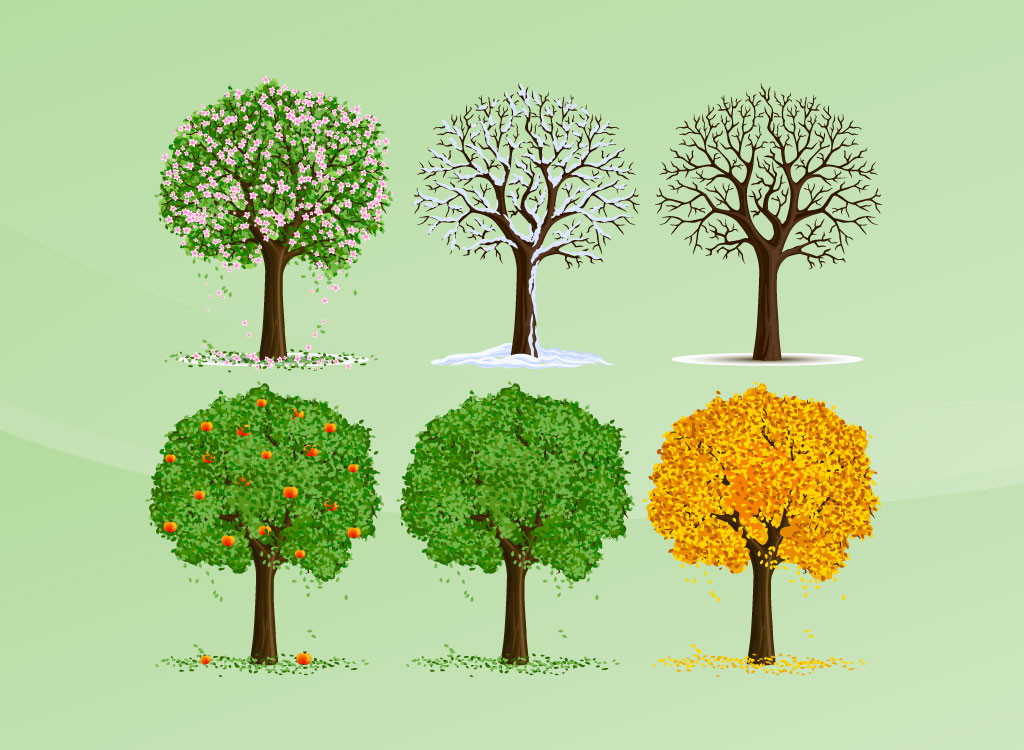 Seasons Tree Vector Seasons Tree Vector