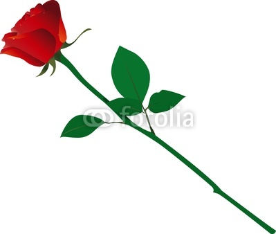 Single Long Stem Red Rose Vector