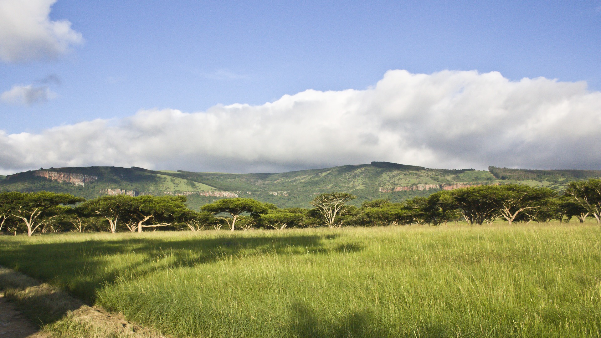 South African Landscape