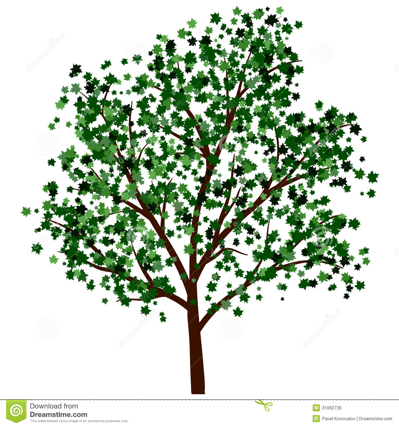 Summer Tree Illustration Summer Tree Illustration