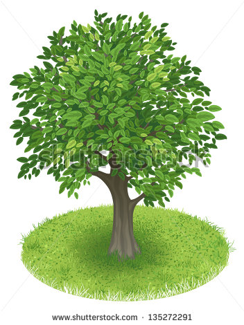 Summer Tree Illustration