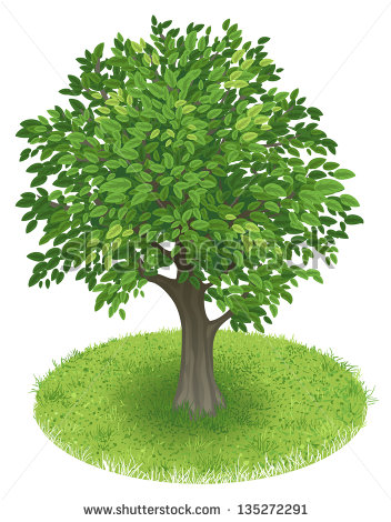 Summer Tree Illustration Summer Tree Illustration