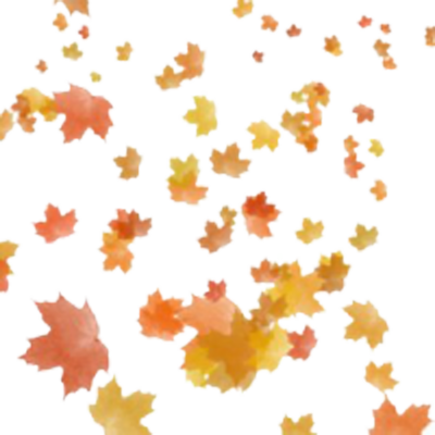 Transparent Fall Leaves Falling