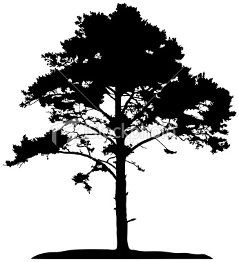 Tree Vector Art