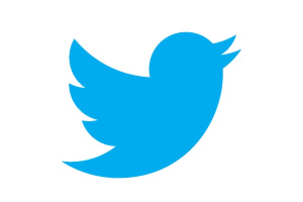 13 New Twitter Icon Images