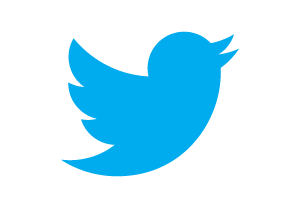 Twitter Bird Logo