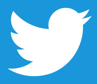 Twitter Logo White