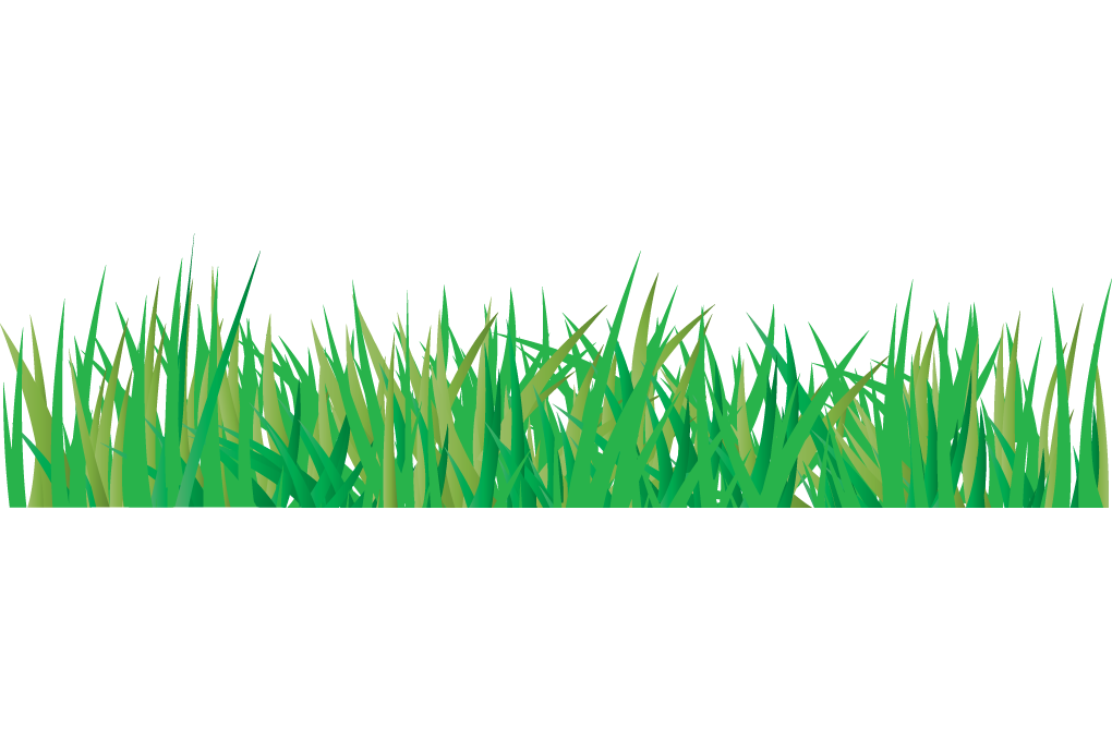 Vector Grass Patch