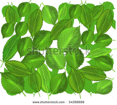 Weeping Willow Tree Vector Weeping Willow Tree Vector