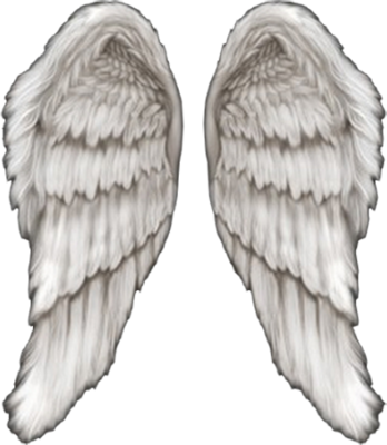 Angel Wings