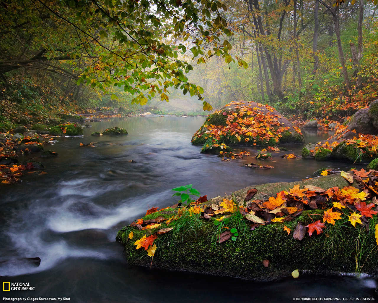 Autumn Landscape Photography