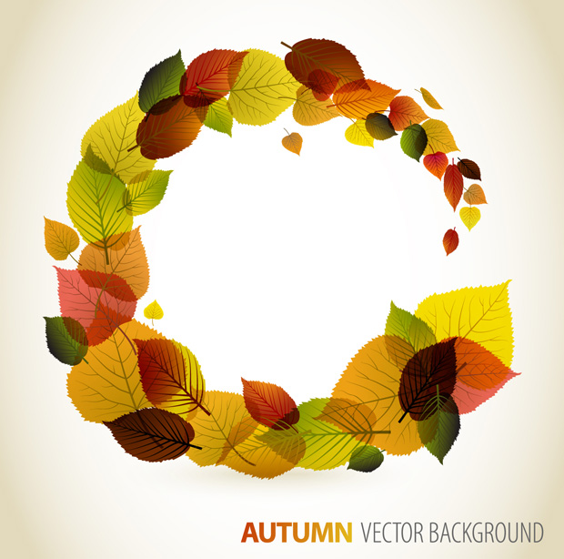 Autumn Leaves Border Vector