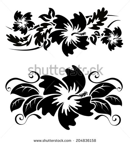 Black and White Hibiscus Flower