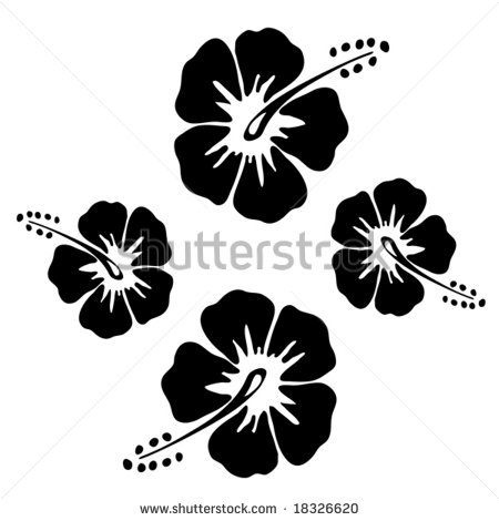 Black and White Hibiscus Flower