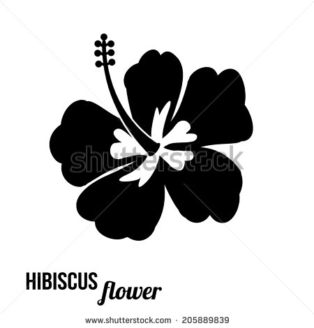 Black and White Hibiscus Flower