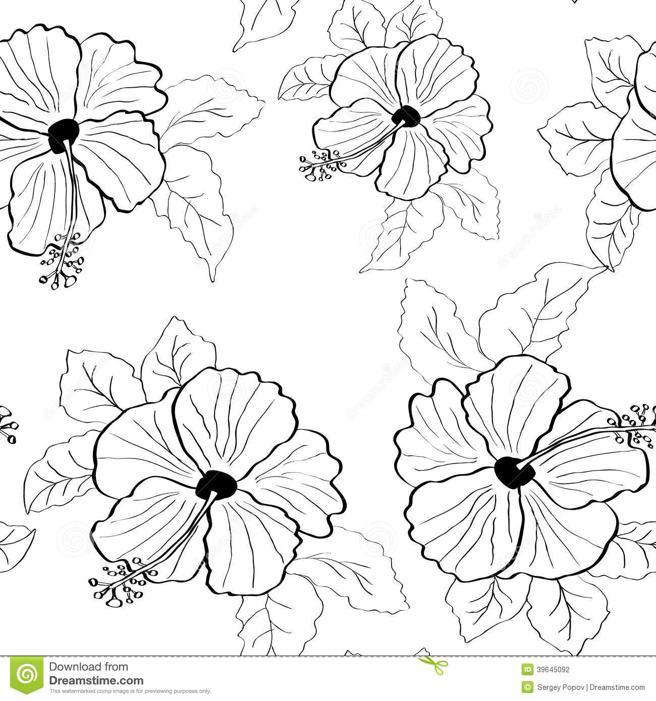 Black and White Vector Hibiscus