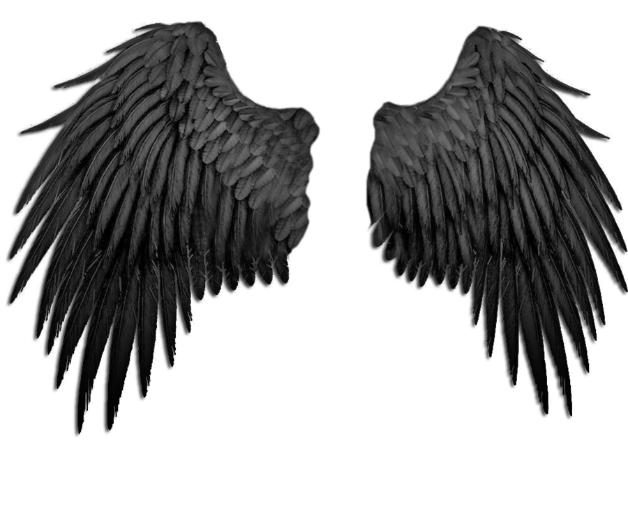 Black Angel Wings Drawing