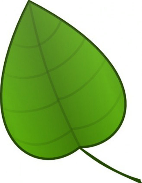 Cartoon Leaves Clip Art HD