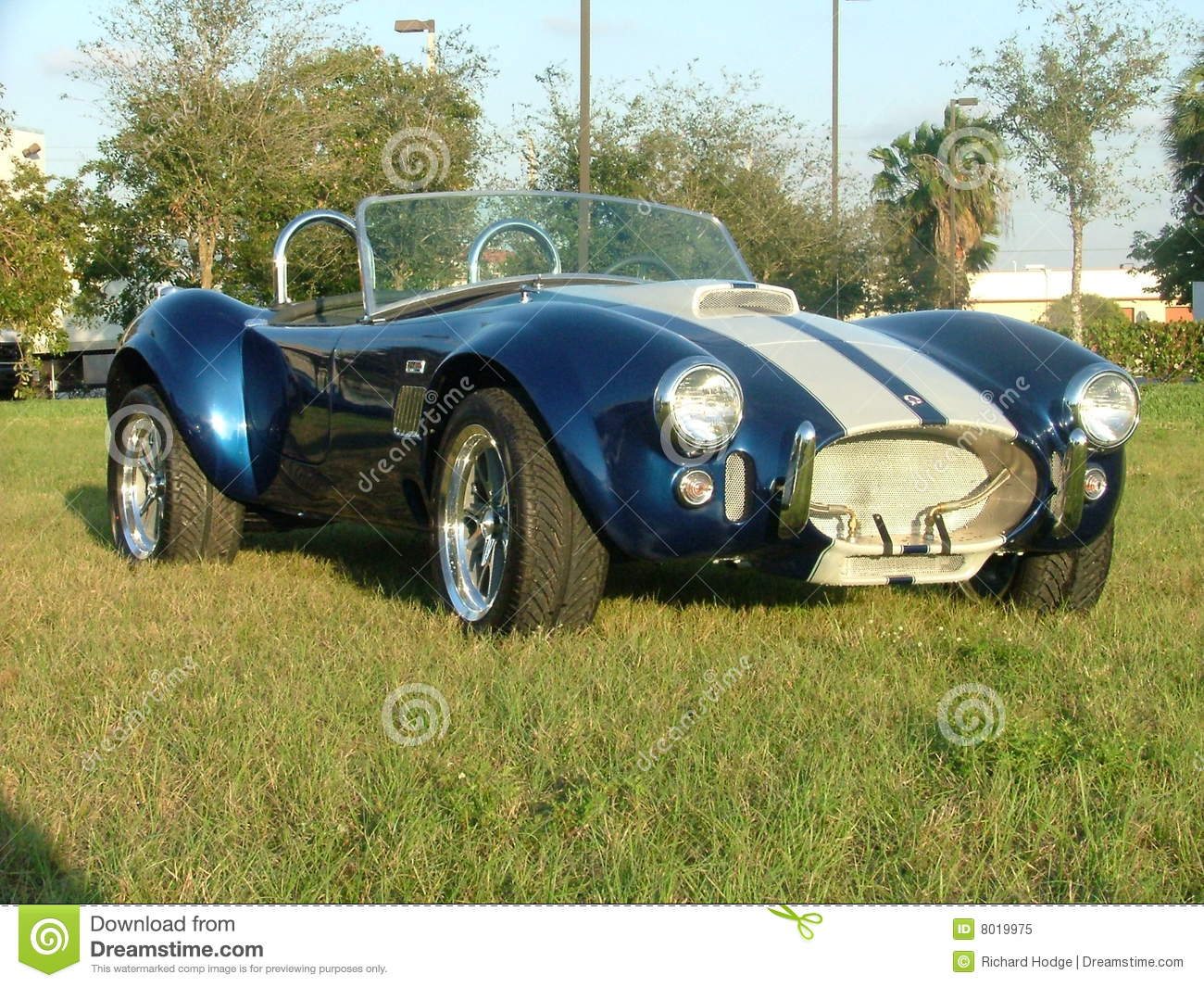 Cobra Classic Car