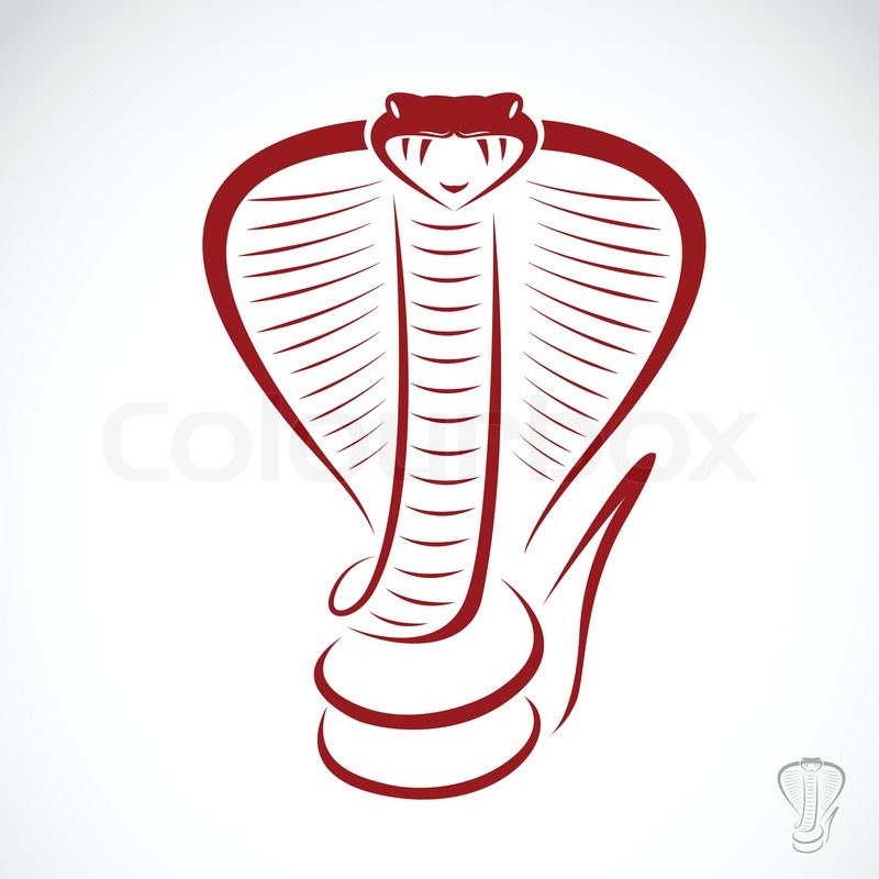 Cobra Snake Vector Art