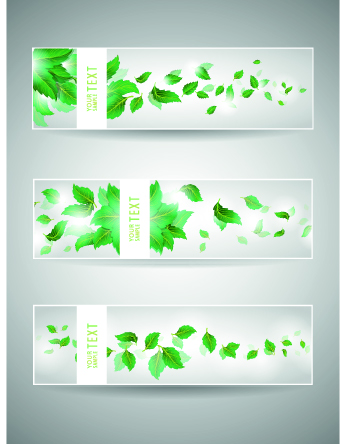 Download Free Vector Banner Design