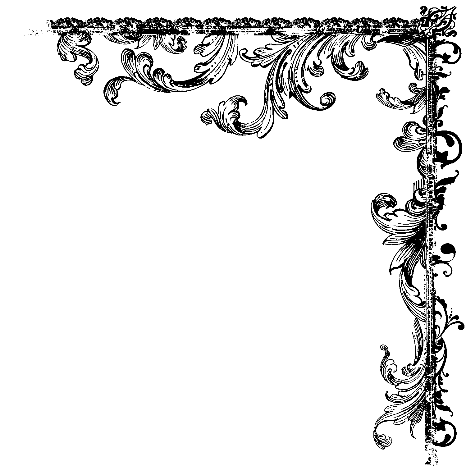 Elegant Swirl Corner Border