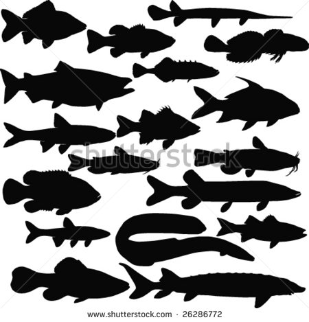 Fish Shadow Clip Art