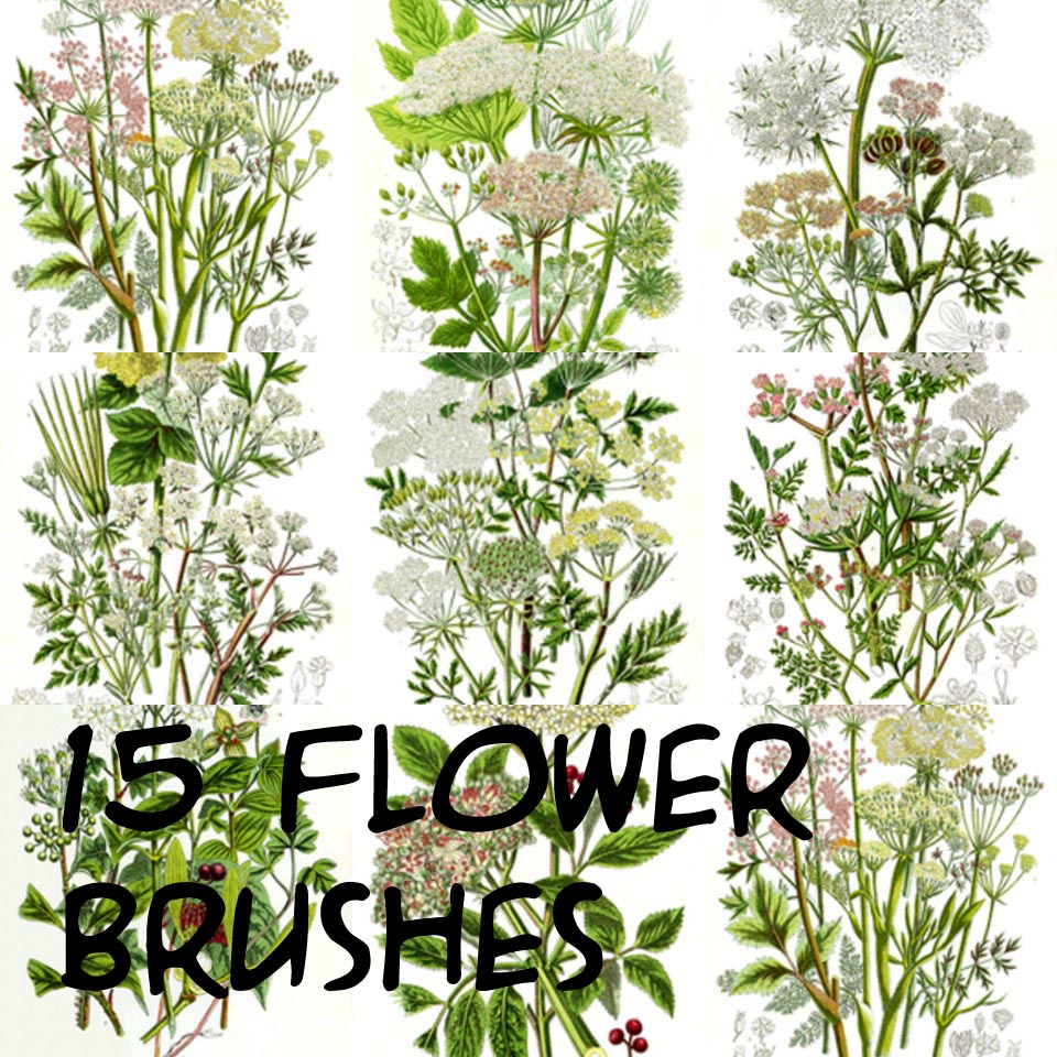 Flower Photoshop Brushes