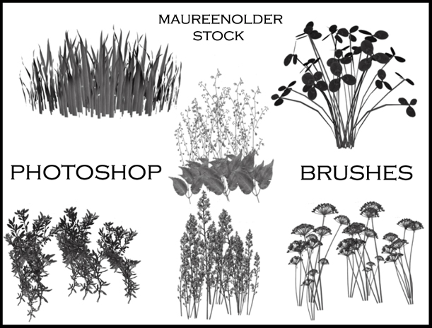 Free Photoshop Plant Brushes