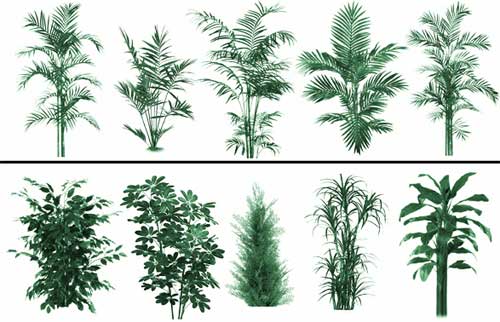 Free Photoshop Plant Brushes