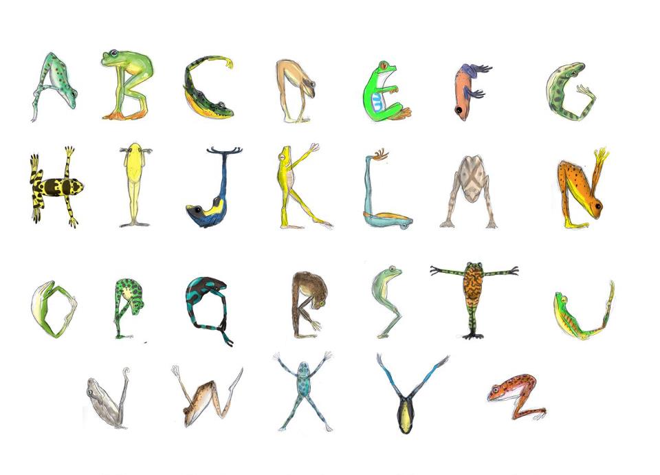 Frog Alphabet Letters Frog Alphabet Letters
