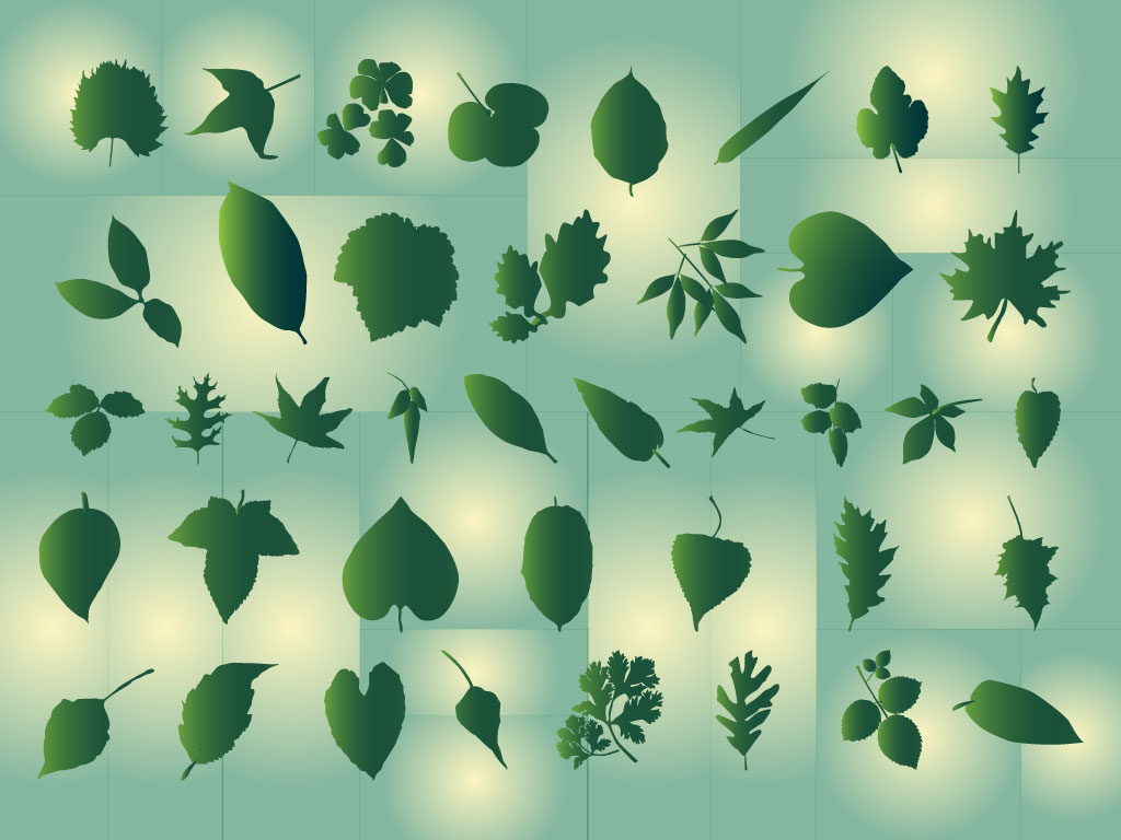 Graphic Leaf Design