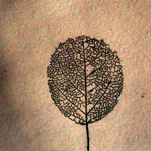 Graphic Leaf Design