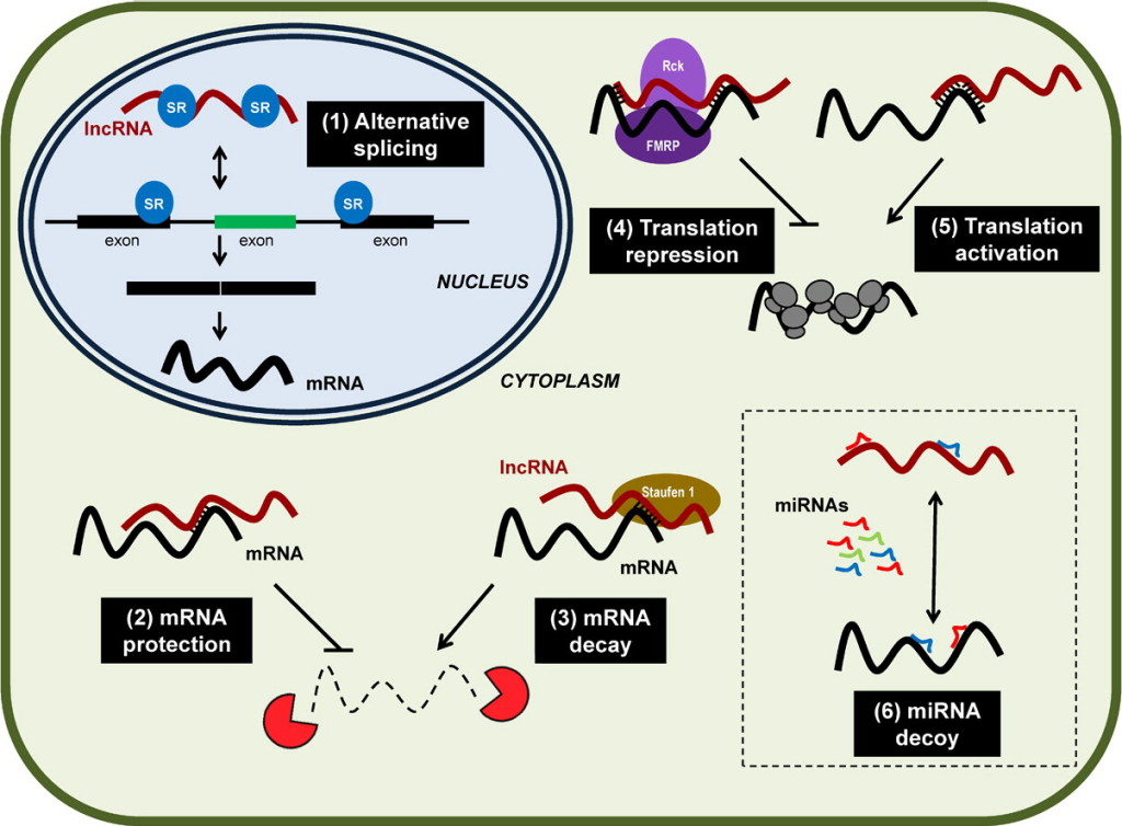 Graphical Abstract Example