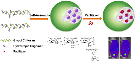 Graphical Abstract Example