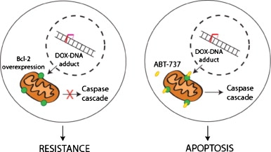 Graphical Abstract Example