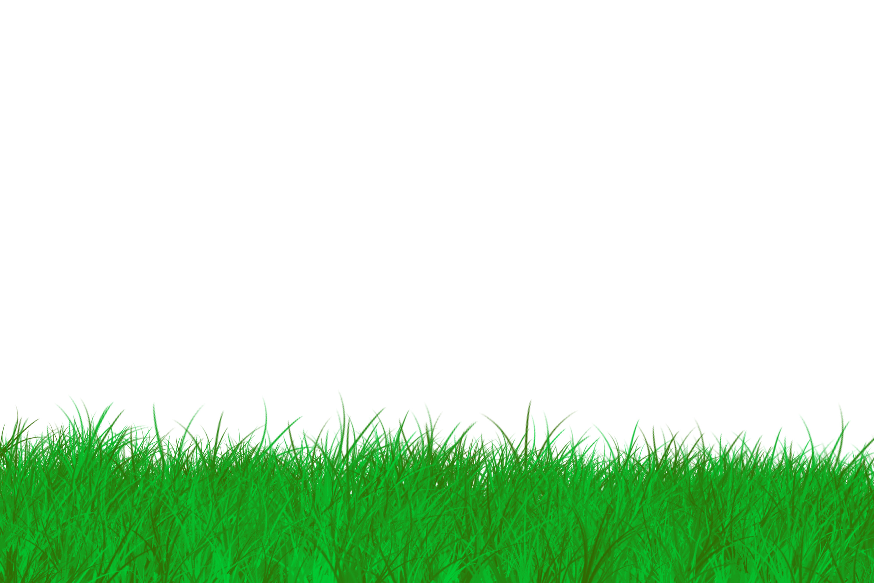 Grass Border Clip Art