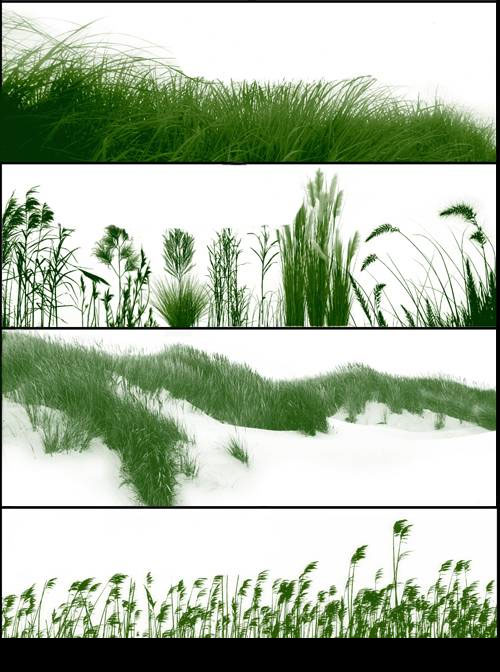 Grass Brush Photoshop