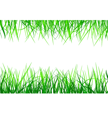 Grass Vector Free Download