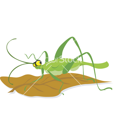 Grasshopper Vector Art