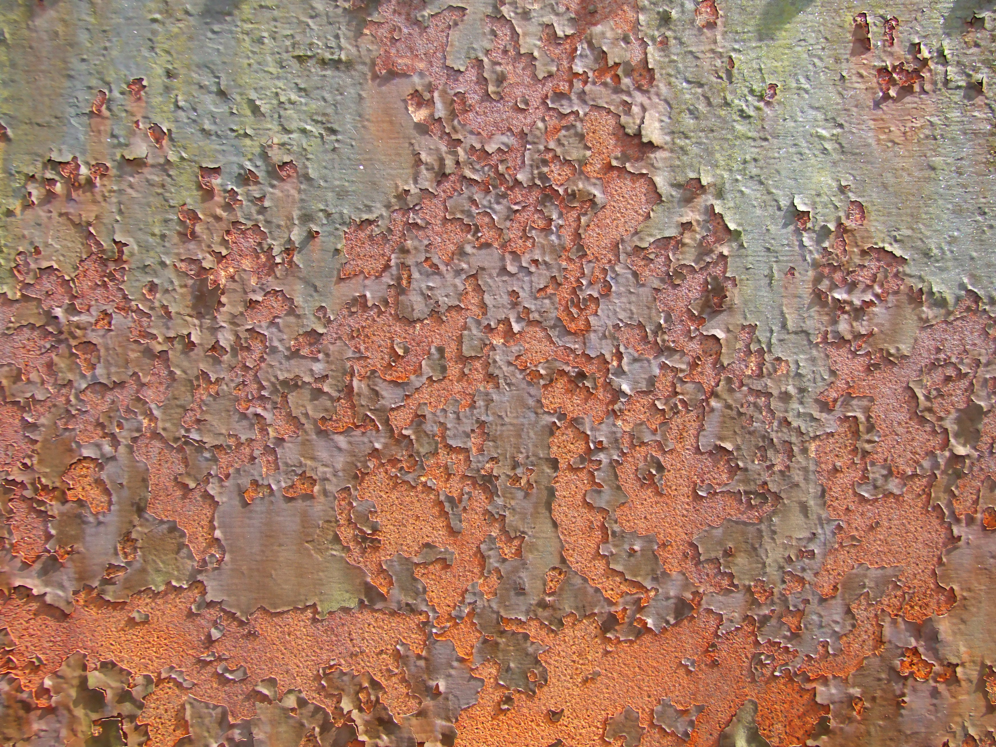 Green and Rust Copper Green and Rust Copper
