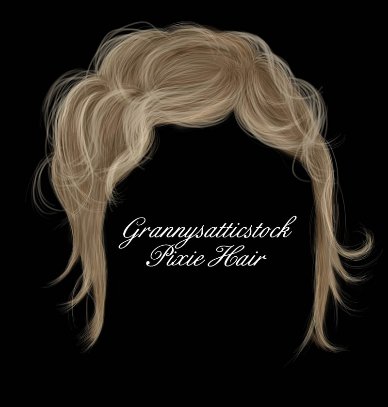 Hair for Photoshop PSD Files