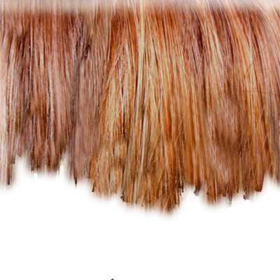 Hair PSD