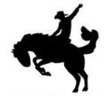 Horse and Rider Bucking Bronco