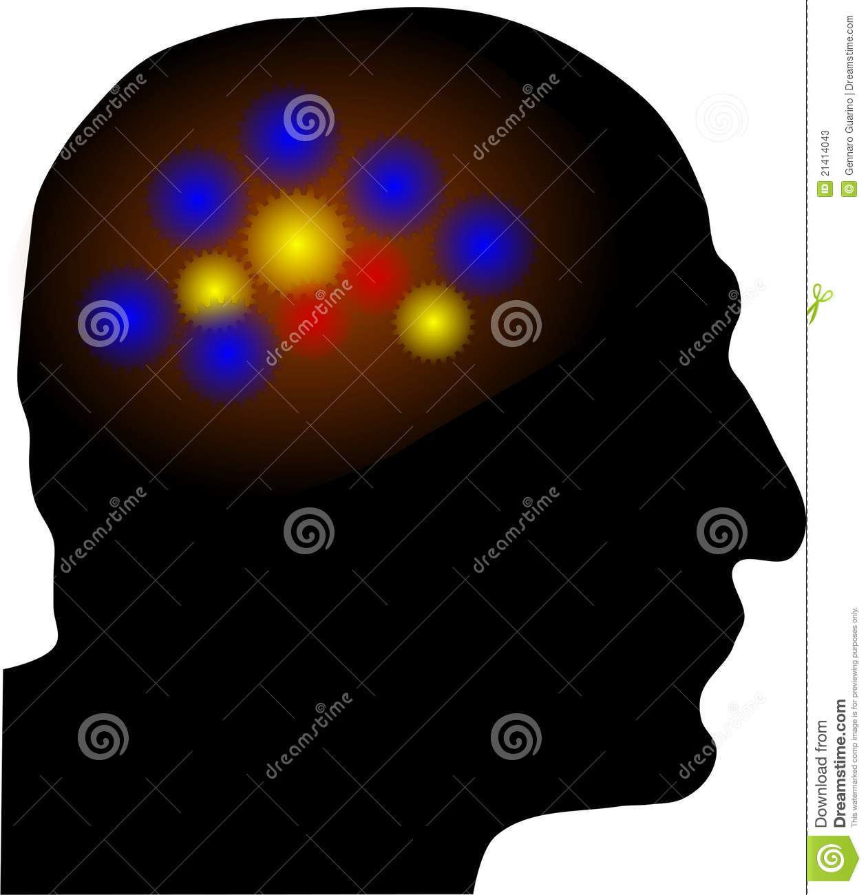Human Brain Activity