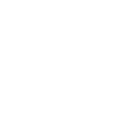Internet Explorer Icon White