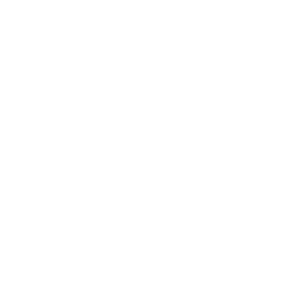 Internet Explorer Icon White