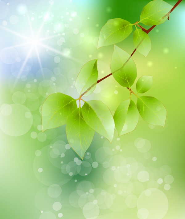 Light Green Leaves Light Green Leaves