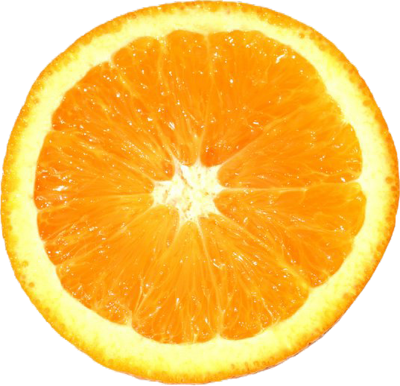 Orange Slices