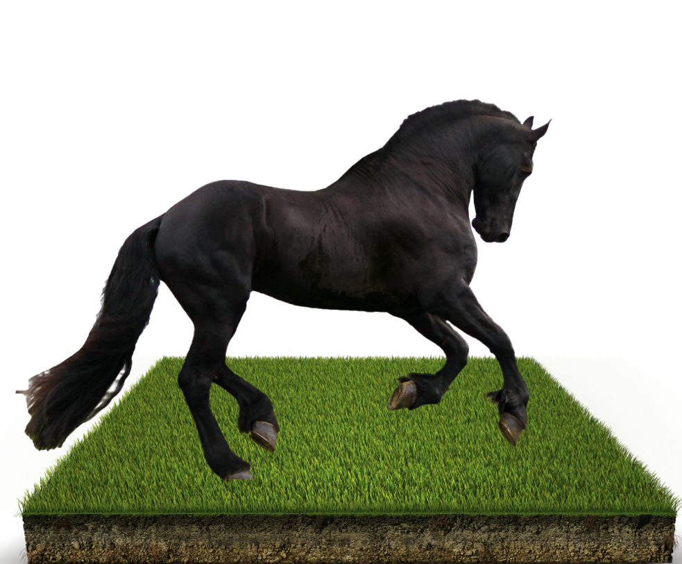 Photoshop Grass Patch Photoshop Grass Patch